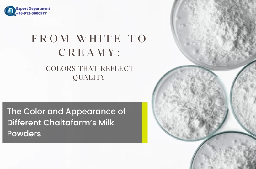 Discover the Color and Appearance of Different Milk-Derived Powders